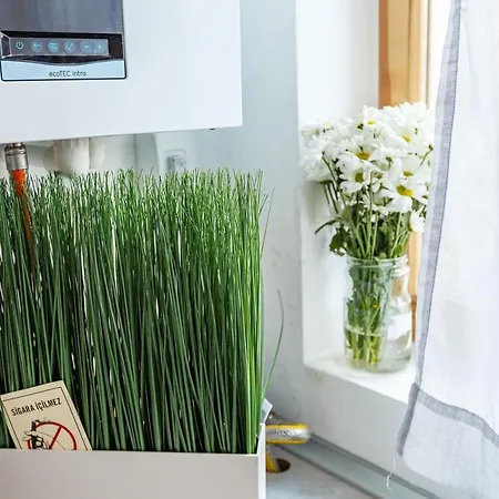 Apartmán Comfortable House Near Golden Horn With An Amazing View In The Old City Of Istanbul